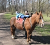 Иппотерапия, отдых все включено №5