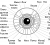 Иридодиагностика, отдых все включено №6
