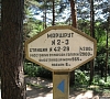 Терренкур (дозированная ходьба), отдых все включено №6