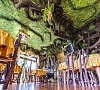 Отель «ВЫКРУТАСЫ» Буковель, отдых все включено №10