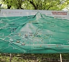 Терренкур (дозированная ходьба), отдых все включено №11